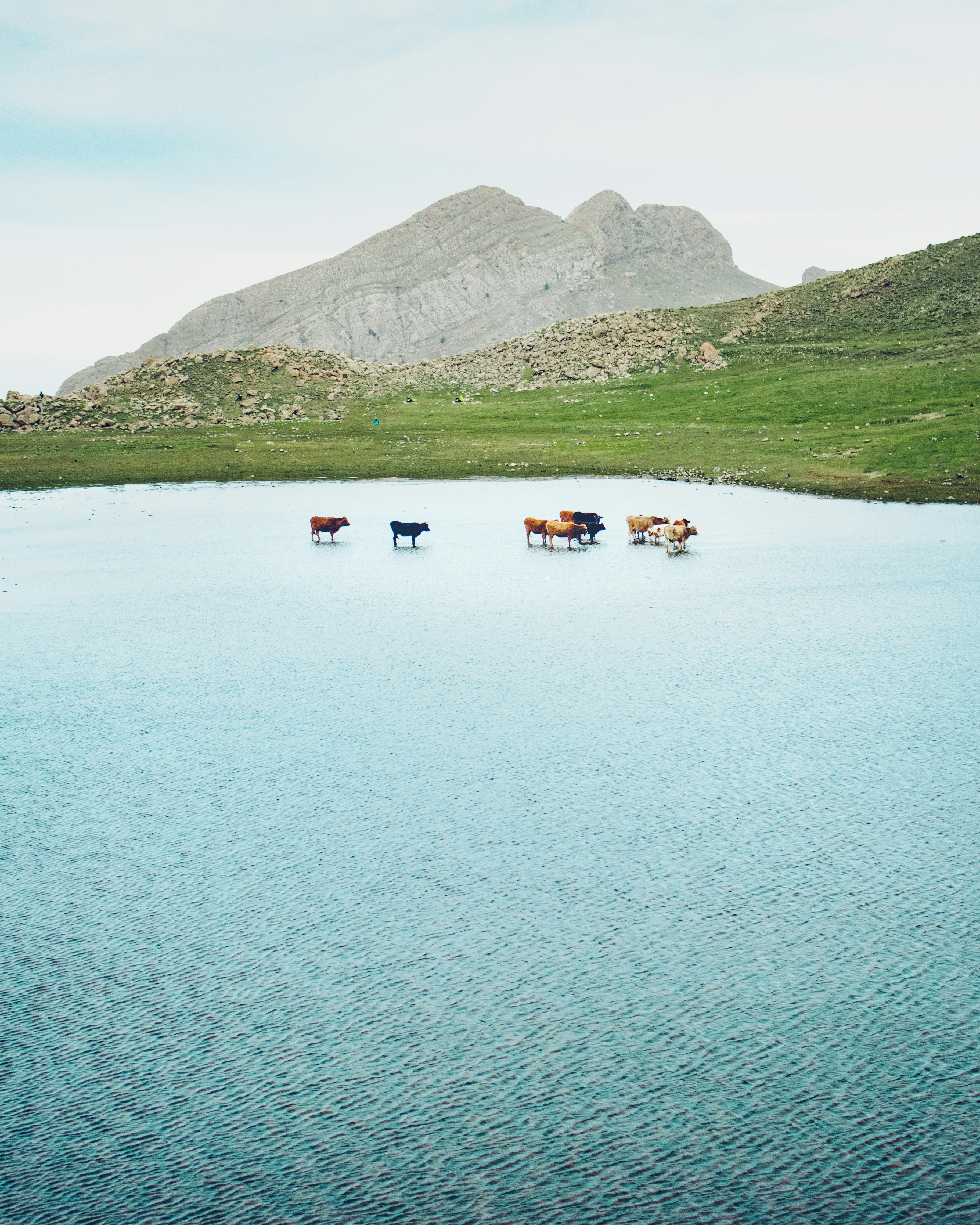 The land of ancient song of freedom and serenity.