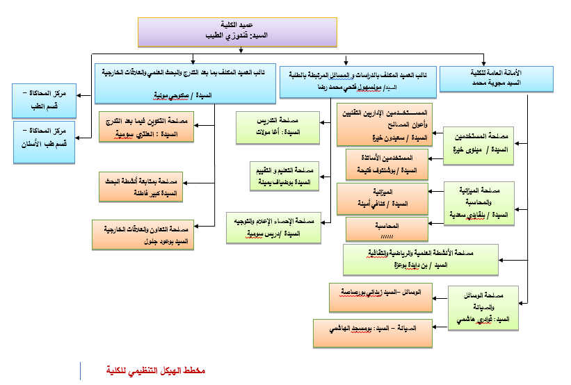Organigramme de la faculté