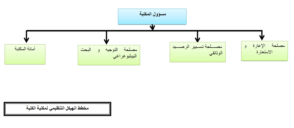 organigramme_bibliotheque