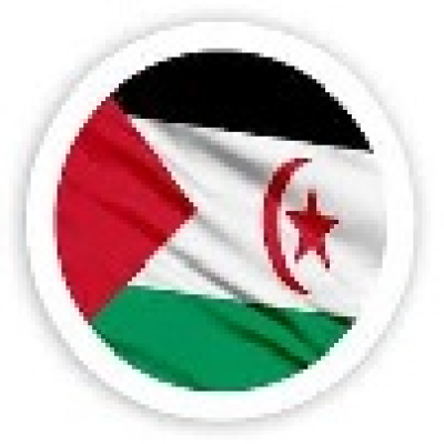 Organisation des célébrations commémorant le 50e anniversaire de la proclamation de la République arabe sahraouie