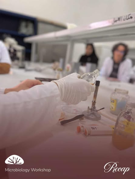 601030804_17902624500335155_6645297867102895478_n