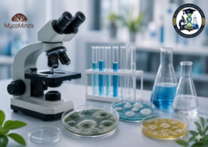 Atelier de microbiologie – MycoMinds