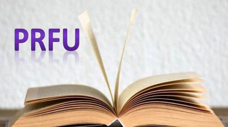 مخطط تقديم حوصلة نصفية لمشروع بحث PRFU