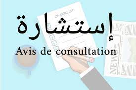 Consultation No. 004