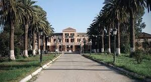 udlsba