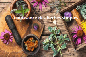 herbes
