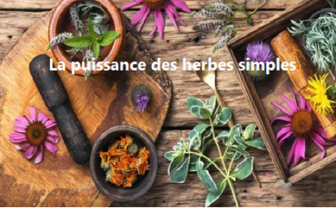 herbes