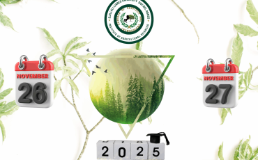 Copie de Yellow Green Futuristic DJ Party Flyer (3)