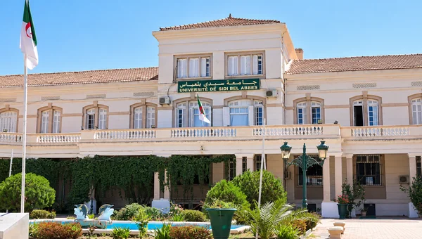 مديرية الجامعة: إعلان عن المنح المؤقت للصفقات المتعلقة بالإستشارات رقم 2026/63 و 2026/64
